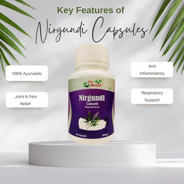 priya anant nirgundi capsules 500mg ayurvedic pain relief & anti inflammatory 60 veg capsules priya anant nirgundi capsules 500mg ayurvedic pain relief & anti inflammatory 60 veg capsules
