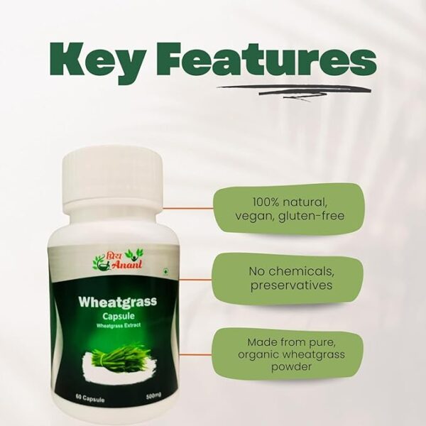 priya anant karela capsules 500mg natural blood sugar control & detox bitter gourd herbal supplement 60 veg capsules priya anant karela capsules 500mg natural blood sugar control & detox bitter gourd herbal supplement 60 veg capsules