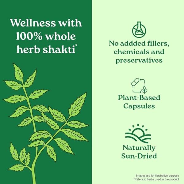 priya anant karela capsules 500mg natural blood sugar control & detox bitter gourd herbal supplement 60 veg capsules priya anant karela capsules 500mg natural blood sugar control & detox bitter gourd herbal supplement 60 veg capsules