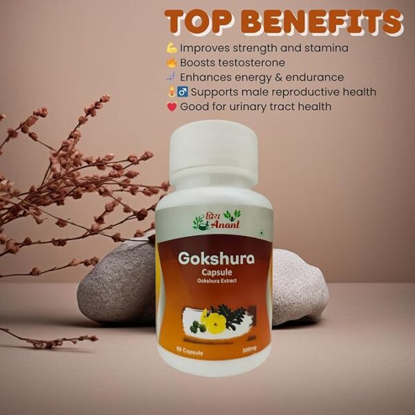 priya anant karela capsules 500mg natural blood sugar control & detox bitter gourd herbal supplement 60 veg capsules priya anant karela capsules 500mg natural blood sugar control & detox bitter gourd herbal supplement 60 veg capsules