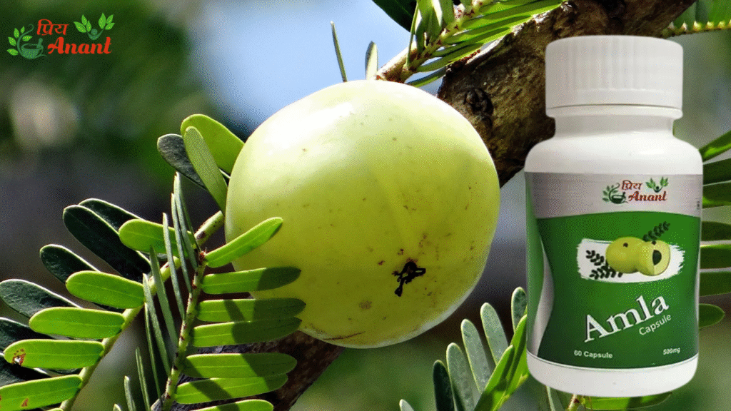 amla capsule by anantt industries